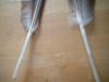 <img100*0:stuff/z/169023/Feathers41/i1258577972_4.jpg>