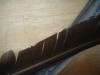 <img100*0:stuff/z/169023/Feathers41/i1258577972_6.jpg>