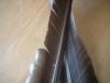 <img100*0:stuff/z/169023/Feathers41/i1258577972_7.jpg>