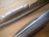 <img100*0:stuff/z/169023/Feathers41/i1258577972_8.jpg>