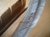 <img100*0:stuff/z/169023/Feathers41/i1258577973_20.jpg>
