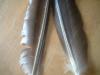 <img100*0:stuff/z/169023/Feathers41/i1258577975_36.jpg>