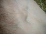 <img150*0:stuff/z/169023/Feet41/i1258664835_9.jpg>