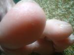 <img150*0:stuff/z/169023/Feet41/i1258664836_19.jpg>