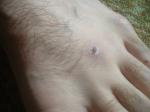 <img150*0:stuff/z/169023/Feet41/i1258664837_26.jpg>