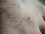 <img150*0:stuff/z/169023/Feet41/i1258664837_32.jpg>