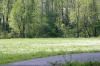 <img100*0:stuff/z/169023/Field%2520Stock.1/i1277153378_1.jpg>