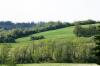 <img100*0:stuff/z/169023/Field%2520Stock.1/i1277153378_2.jpg>