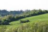 <img100*0:stuff/z/169023/Field%2520Stock.1/i1277153378_3.jpg>