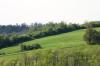<img100*0:stuff/z/169023/Field%2520Stock.1/i1277153378_6.jpg>