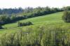 <img100*0:stuff/z/169023/Field%2520Stock.1/i1277153379_10.jpg>