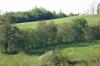 <img100*0:stuff/z/169023/Field%2520Stock.1/i1277153379_12.jpg>