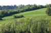 <img100*0:stuff/z/169023/Field%2520Stock.1/i1277153379_14.jpg>
