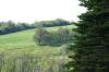 <img100*0:stuff/z/169023/Field%2520Stock.1/i1277153379_15.jpg>