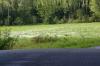 <img100*0:stuff/z/169023/Field%2520Stock.1/i1277153379_17.jpg>