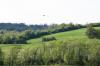 <img100*0:stuff/z/169023/Field%2520Stock.1/i1277153379_8.jpg>