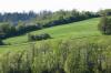 <img100*0:stuff/z/169023/Field%2520Stock.1/i1277153380_18.jpg>
