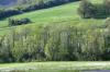 <img100*0:stuff/z/169023/Field%2520Stock.1/i1277153380_19.jpg>