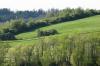 <img100*0:stuff/z/169023/Field%2520Stock.1/i1277153380_21.jpg>