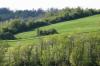 <img100*0:stuff/z/169023/Field%2520Stock.1/i1277153380_24.jpg>