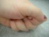 <img100*0:stuff/z/169023/Fingers/i1259710488_21.jpg>
