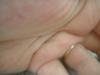 <img100*0:stuff/z/169023/Fingers/i1259710489_39.jpg>