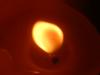 <img100*0:stuff/z/169023/Fire%252042/i1259865536_2.jpg>