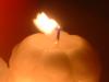 <img100*0:stuff/z/169023/Fire%252042/i1259865537_14.jpg>
