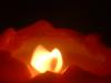 <img100*0:stuff/z/169023/Fire%252042/i1259865537_22.jpg>