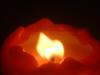 <img100*0:stuff/z/169023/Fire%252042/i1259865538_34.jpg>