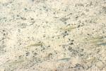 <img150*0:stuff/z/169023/Fish%2520Reference.1/i1278631637_10.jpg>