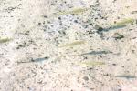 <img150*0:stuff/z/169023/Fish%2520Reference.1/i1278631638_22.jpg>