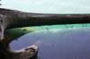 <img100*0:stuff/z/169023/Fish%2520Under%2520Water/i1277163836_19.jpg>