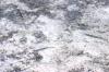<img100*0:stuff/z/169023/Fish%2520Under%2520Water/i1277163837_32.jpg>