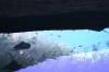 <img100*0:stuff/z/169023/Fish%2520Under%2520Water/i1277163837_33.jpg>