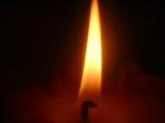 <img150*0:stuff/z/169023/Flame%252039/i1258923367_2.jpg>