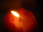 <img150*0:stuff/z/169023/Flame%252039/i1258923367_5.jpg>