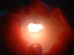 <img150*0:stuff/z/169023/Flame%252039/i1258923367_7.jpg>