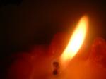 <img150*0:stuff/z/169023/Flame%252039/i1258923368_16.jpg>