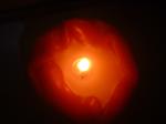<img150*0:stuff/z/169023/Flame%252039/i1258923368_19.jpg>
