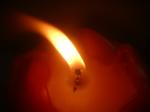 <img150*0:stuff/z/169023/Flame%252039/i1258923369_29.jpg>