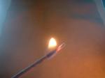 <img150*0:stuff/z/169023/Flame%252039/i1258923370_35.jpg>