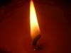 <img100*0:stuff/z/169023/Flame%252041/i1259865447_36.jpg>