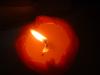 <img100*0:stuff/z/169023/Flame13/i1258918022_5.jpg>
