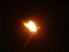 <img100*0:stuff/z/169023/Flame13/i1258918022_6.jpg>