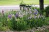 <img100*0:stuff/z/169023/Flower%2520Garden/i1277156436_26.jpg>