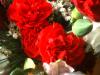 <img100*0:stuff/z/169023/Flowers%252041/i1263420957_1.jpg>