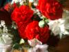 <img100*0:stuff/z/169023/Flowers%252041/i1263420957_2.jpg>
