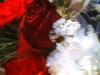 <img100*0:stuff/z/169023/Flowers%252041/i1263420957_4.jpg>