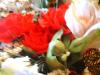 <img100*0:stuff/z/169023/Flowers%252041/i1263420958_12.jpg>